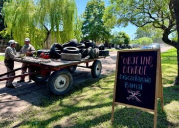 OBJETIVO DENGUE: DESCACHARRADO EN VILLA OCAMPO.