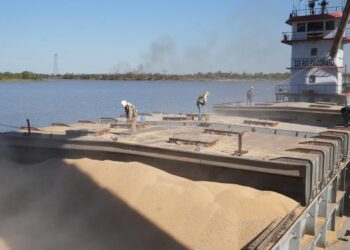 Cuánto creció la operatoria de los puertos públicos y cuál batió récords en Santa Fe.