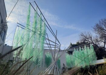 LA TRAVESÍA DEL SAUCE CRIOLLO LLEGA A VILLA OCAMPO PARA CONCIENTIZAR SOBRE CUIDADO DEL AMBIENTE.   