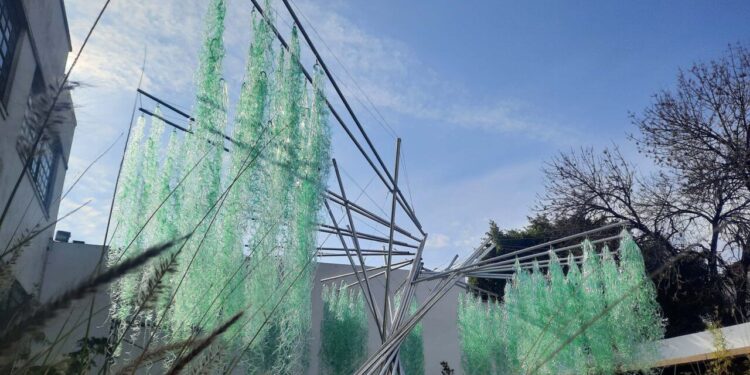 LA TRAVESÍA DEL SAUCE CRIOLLO LLEGA A VILLA OCAMPO PARA CONCIENTIZAR SOBRE CUIDADO DEL AMBIENTE.   