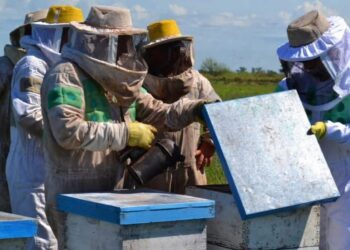 La ADR Reconquista otorgó más de $170 millones en créditos a productores apícolas del norte santafesino