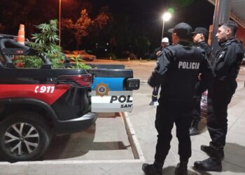 VILLA OCAMPO: SECUESTRAN 21 PLANTAS DE MARIHUANA EN UN ALLANAMIENTO POR INFRACCIÓN A LA LEY 23.737.