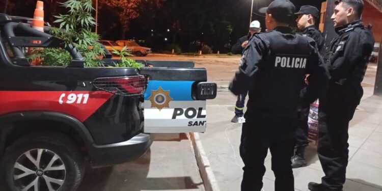 VILLA OCAMPO: SECUESTRAN 21 PLANTAS DE MARIHUANA EN UN ALLANAMIENTO POR INFRACCIÓN A LA LEY 23.737.