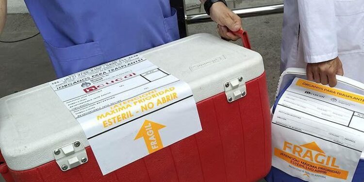 En octubre, la provincia de Santa Fe tuvo uno de los meses con más donantes de órganos de su historia.