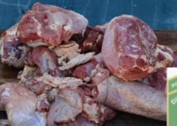 LOS PUMAS DE VILLA OCAMPO: ESCLARECIERON UN HECHO DE ABIGEATO Y FAENA CLANDESTINA EN LAS TOSCAS.