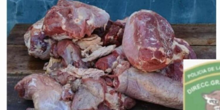 LOS PUMAS DE VILLA OCAMPO: ESCLARECIERON UN HECHO DE ABIGEATO Y FAENA CLANDESTINA EN LAS TOSCAS.