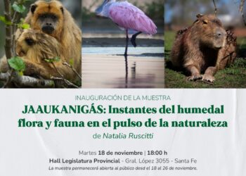 Mancini: “Jaaukanigás: Instantes del Humedal” llega a la Capital Santafesina.