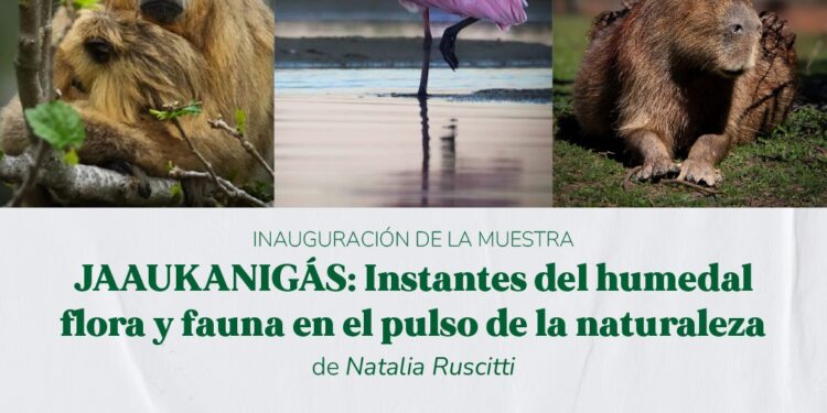 Mancini: “Jaaukanigás: Instantes del Humedal” llega a la Capital Santafesina.