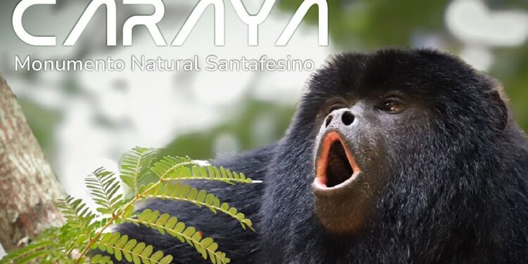 Buscan que el Carayá sea Monumento en Santa Fe y organizan un conversatorio abierto.