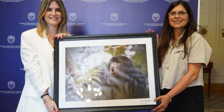 La muestra “Jaaukanigás: Instantes del Humedal” llegó a la Legislatura.