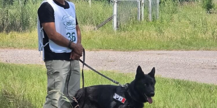 Perros de la PDI se consagraron campeón y subcampeón argentinos en una prestigiosa competencia en Córdoba.