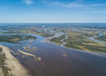Río Paraná: el Gobierno Provincial prevé una recuperación del caudal a niveles medios.