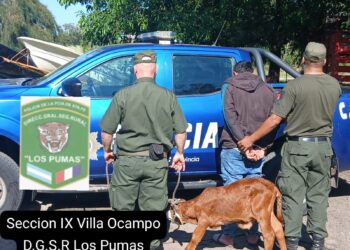 Efectivos rurales de la Sección N°9 Villa Ocampo, mediante requisa domiciliaria dieron con un semoviente producto de un delito. 