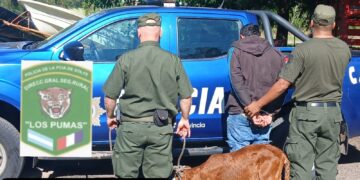 Efectivos rurales de la Sección N°9 Villa Ocampo, mediante requisa domiciliaria dieron con un semoviente producto de un delito. 