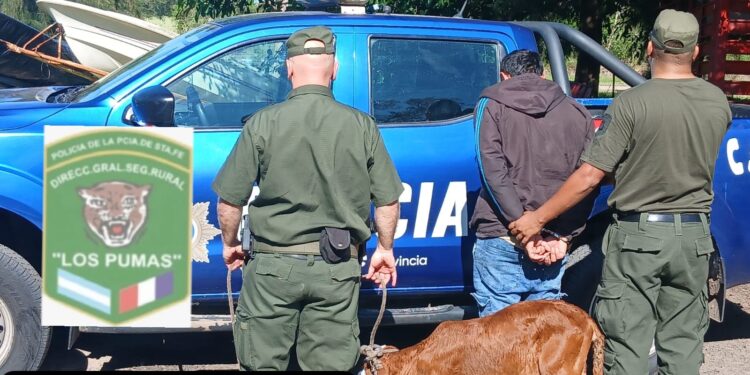 Efectivos rurales de la Sección N°9 Villa Ocampo, mediante requisa domiciliaria dieron con un semoviente producto de un delito. 