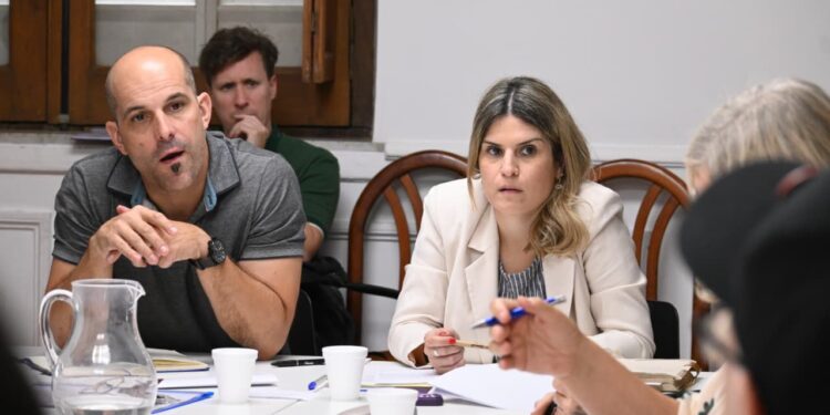 La Comisión de Cultura avanzó en el tratamiento de la Ley de Cine Santafesina. 