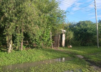  VILLA GUILLERMINA: FALLECIÓ UN HOMBRE TRAS CAER DEL TECHO DE SU VIVIENDA.