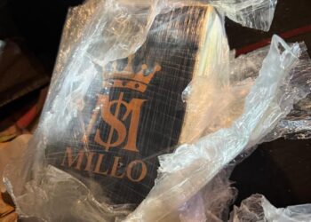 Operativo Verano: la Guardia Provincial de Seguridad Vial secuestró cuatro kilos de cocaína en la autopista Rosario-Buenos Aires.