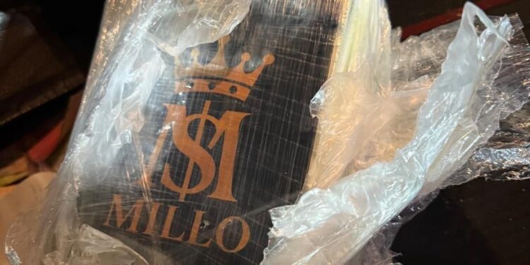 Operativo Verano: la Guardia Provincial de Seguridad Vial secuestró cuatro kilos de cocaína en la autopista Rosario-Buenos Aires.