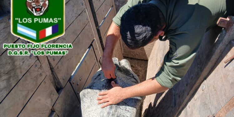 DGSR “Los Pumas” de Florencia, esclarecieron un hecho de Abigeato.