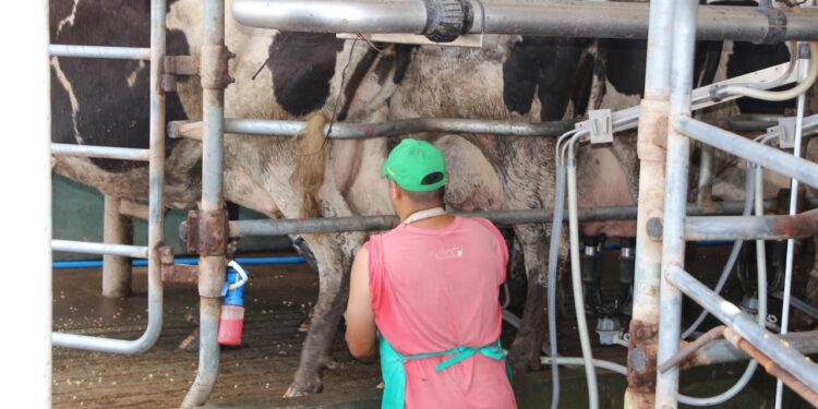 Santa Fe lidera las exportaciones lácteas y consolida el crecimiento del sector.