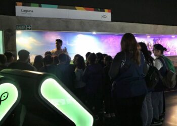 El Acuario del Río Paraná, uno de los imperdibles de Rosario, tuvo un 2025 con crecimiento de visitantes.