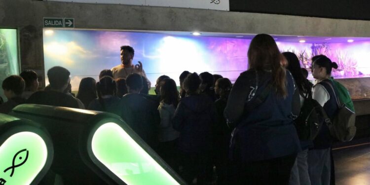 El Acuario del Río Paraná, uno de los imperdibles de Rosario, tuvo un 2025 con crecimiento de visitantes.