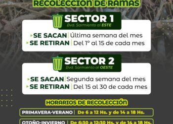 Recordatorio: cronograma de recolección de ramas en Villa Ocampo.