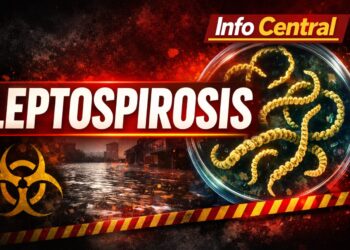 Leptospirosis: Provincia recuerda las medidas de prevención.