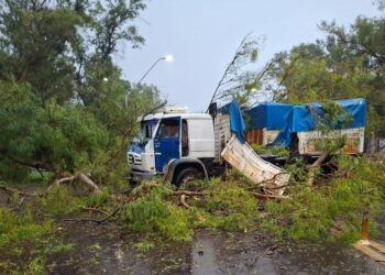 Cayó un árbol sobre un camión en Ruta Nacional 11 y provocó importantes daños materiales en Reconquista.