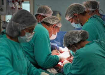 La Provincia de Santa Fe logró récords en donación y trasplante en 2025.