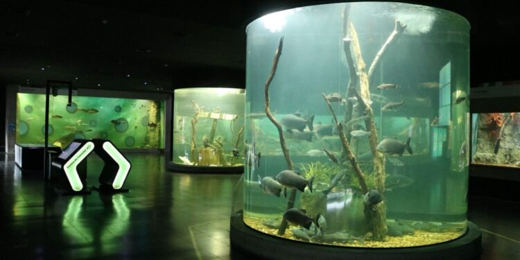 Verano en el Acuario del Río Paraná: convocatoria para colonias y polideportivos.