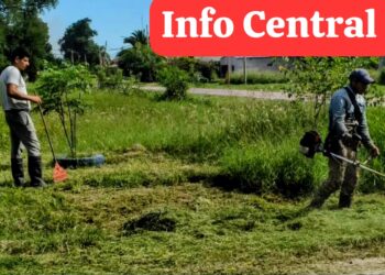 Tartagal: El colmo de los colmos, el presidente comunal denunció a un vecino por cortar el pasto.