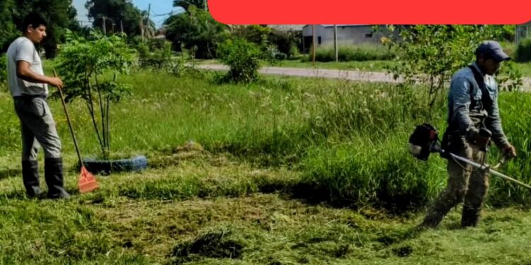 Tartagal: El colmo de los colmos, el presidente comunal denunció a un vecino por cortar el pasto.