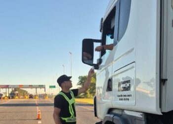 Operativo Verano: la Provincia fiscalizó más de 70.000 vehículos en el primer mes de la temporada estival.