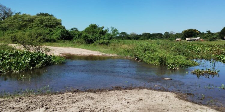 Corte de camino hacia el río Paraná por crecida de los ríos.