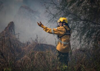 Provincia planifica acciones y brinda recomendaciones ante el riesgo extremo de incendios forestales.