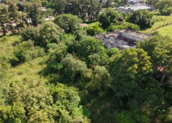 VILLA OCAMPO: EL MUNICIPIO INTERVIENE PREDIOS DE LA QUIEBRA INAZA/COOPERATIVA ARNO PARA GARANTIZAR LA SALUD PÚBLICA.