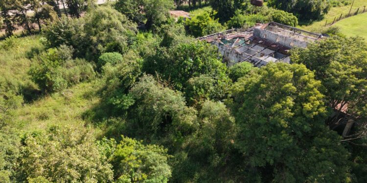 VILLA OCAMPO: EL MUNICIPIO INTERVIENE PREDIOS DE LA QUIEBRA INAZA/COOPERATIVA ARNO PARA GARANTIZAR LA SALUD PÚBLICA.