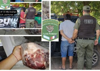 Los Pumas de la sección Villa Ocampo Esclarecen un hecho de abigeato en zona rural de Villa Guillermina. 