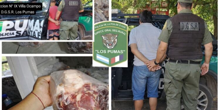 Los Pumas de la sección Villa Ocampo Esclarecen un hecho de abigeato en zona rural de Villa Guillermina. 