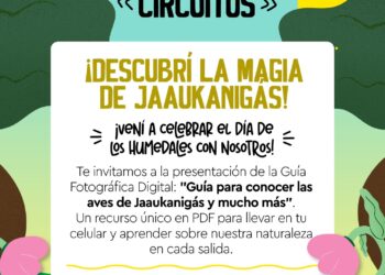 Villa Ocampo: Se presentará una Guía Fotográfica Digital en el marco del Día Mundial de los Humedales.