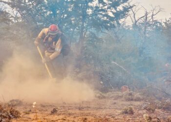 Brigadistas santafesinos ya combaten los incendios forestales en Puerto Patriada, en Chubut.
