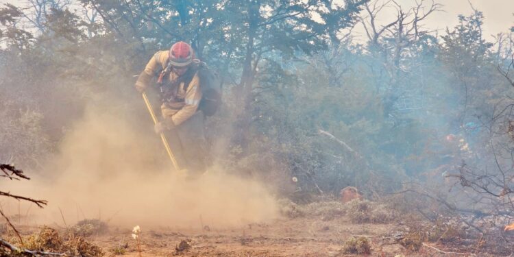 Brigadistas santafesinos ya combaten los incendios forestales en Puerto Patriada, en Chubut.