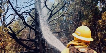 Intenso trabajo de brigadistas santafesinos en la cooperación interjurisdiccional para controlar el fuego en Chubut.