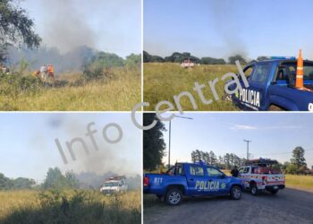 LANTERI: BOMBEROS SOFOCARON UN INCENDIO Y REALIZARON TAREAS DE PREVENCIÓN FORESTAL.