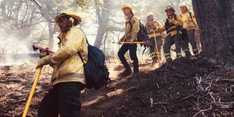 Brigadistas de Santa Fe en Chubut realizan ataque directo al fuego, cortafuegos y contención de focos.