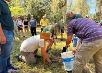 Villa Ocampo realizó una plantación de árboles en el marco del “Proyecto Vida”.