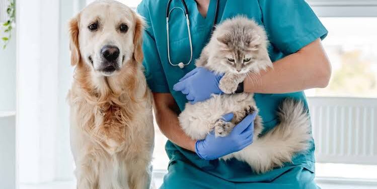 Nueva jornada de castración gratuita para mascotas en Villa Ocampo.