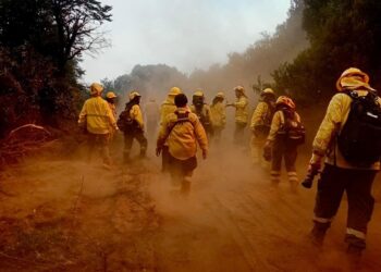 Regresaron a Santa Fe los brigadistas que fueron a colaborar en el control de incendios forestales en Chubut.